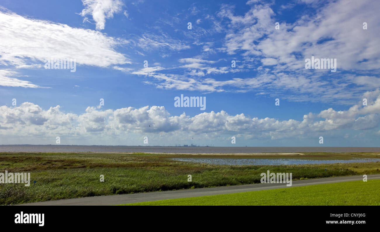 Le saline a marea alta sul mare del Nord, Eemshaven, Paesi Bassi in backgrund, Germania, Bassa Sassonia, Bassa Sassonia il Wadden Sea National Park Foto Stock