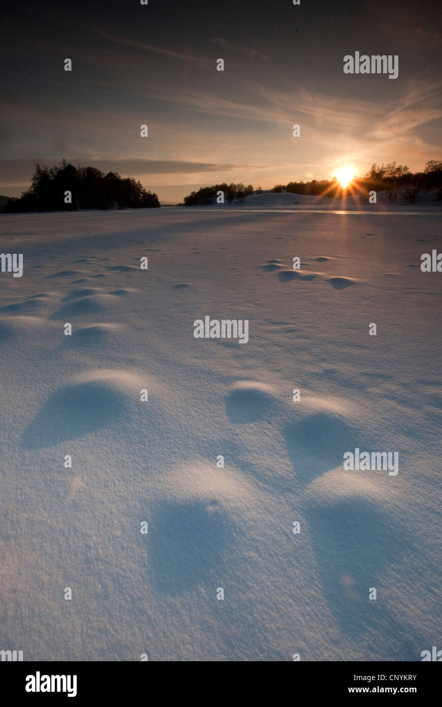 Congelati e coperti di neve Loch Insh Foto Stock