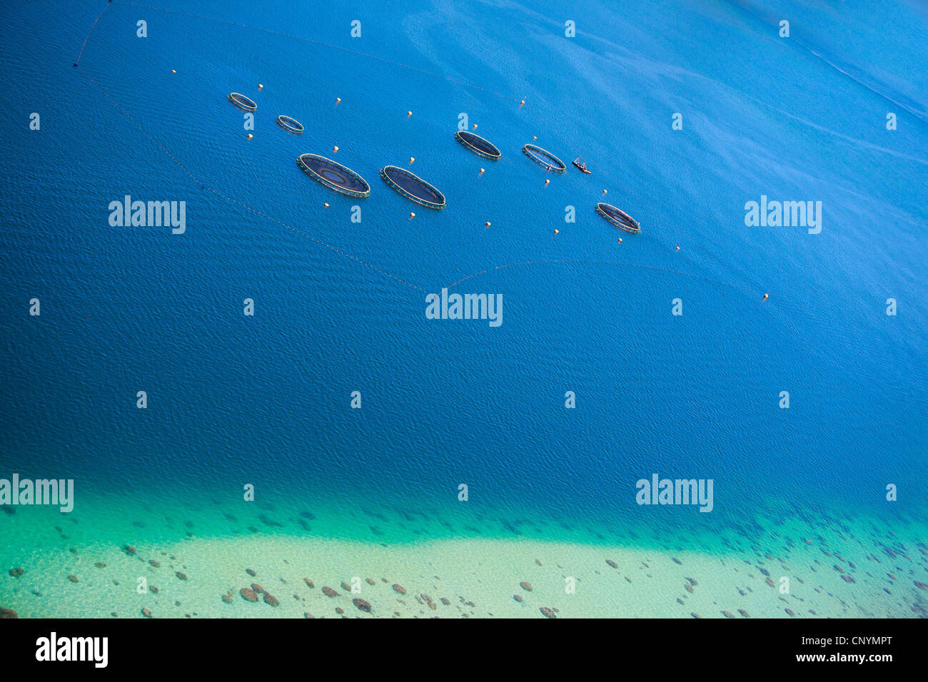 Aziende di allevamento ittico in Oceano Indiano Foto Stock