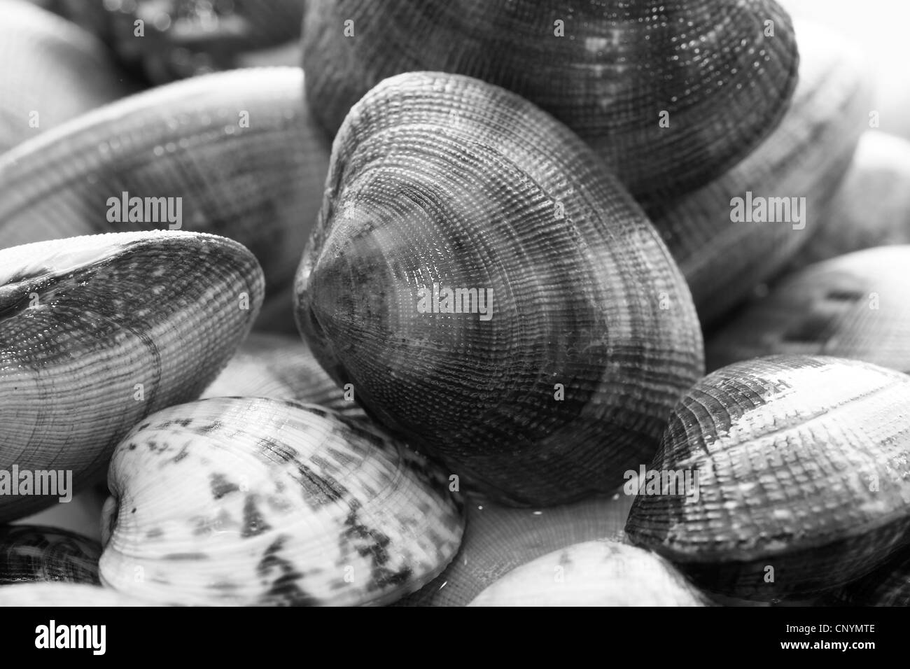 Frutti di mare, cibo, crostacei, sana nutrizione, fresche, cotte, cucina, ristorante, mare, gourmet, cottura, chowder, salute, mercato Foto Stock