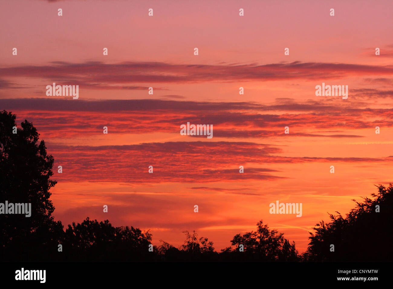 Bagliore di sera, Germania Foto Stock