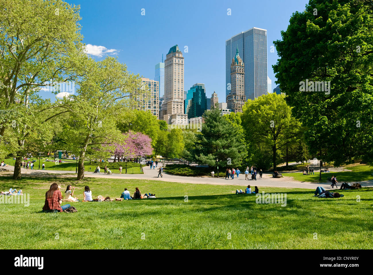 Persone relax nel Central Park di New York City nella stagione primaverile. Foto Stock