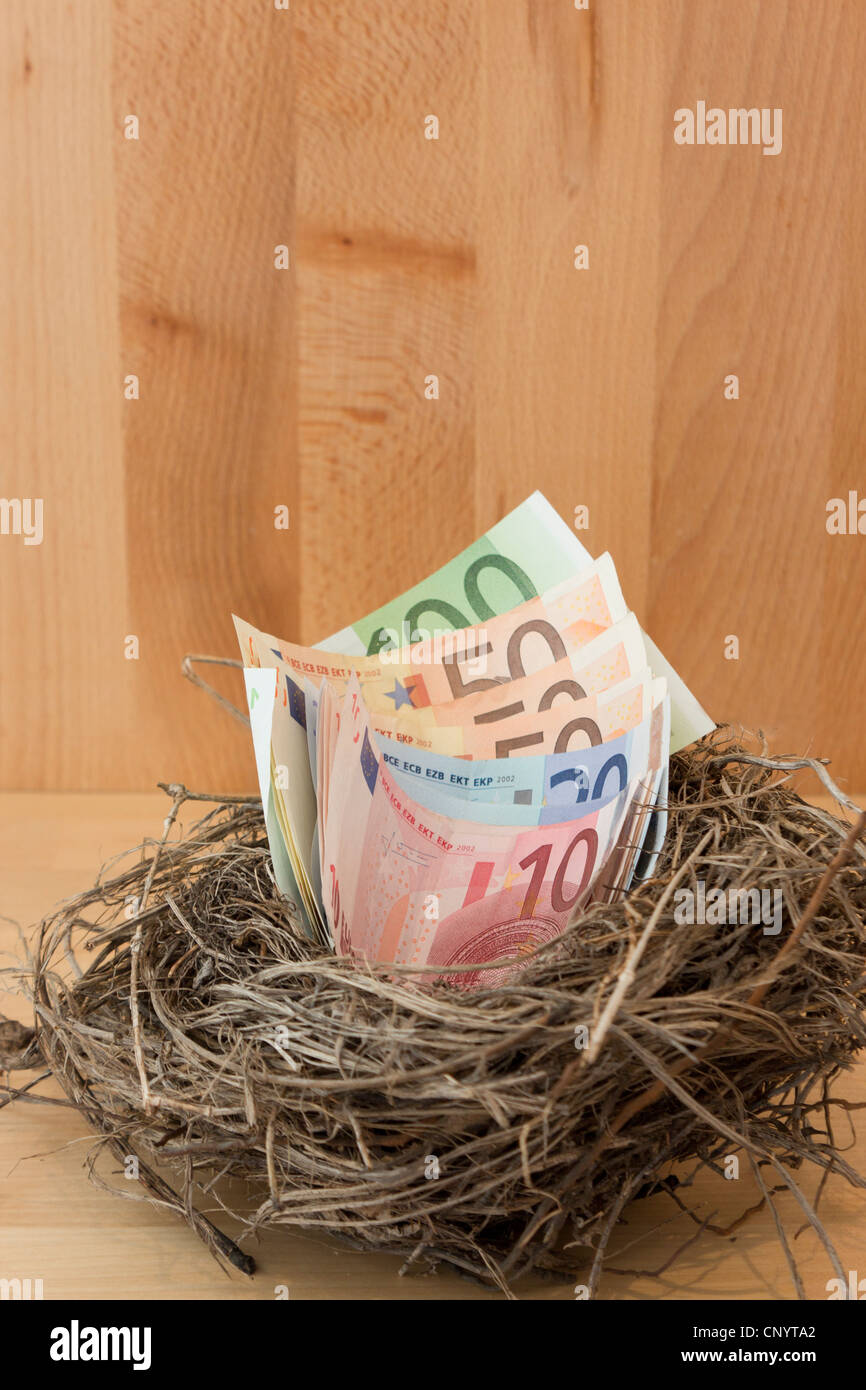 Le banconote in euro in un nido Foto Stock