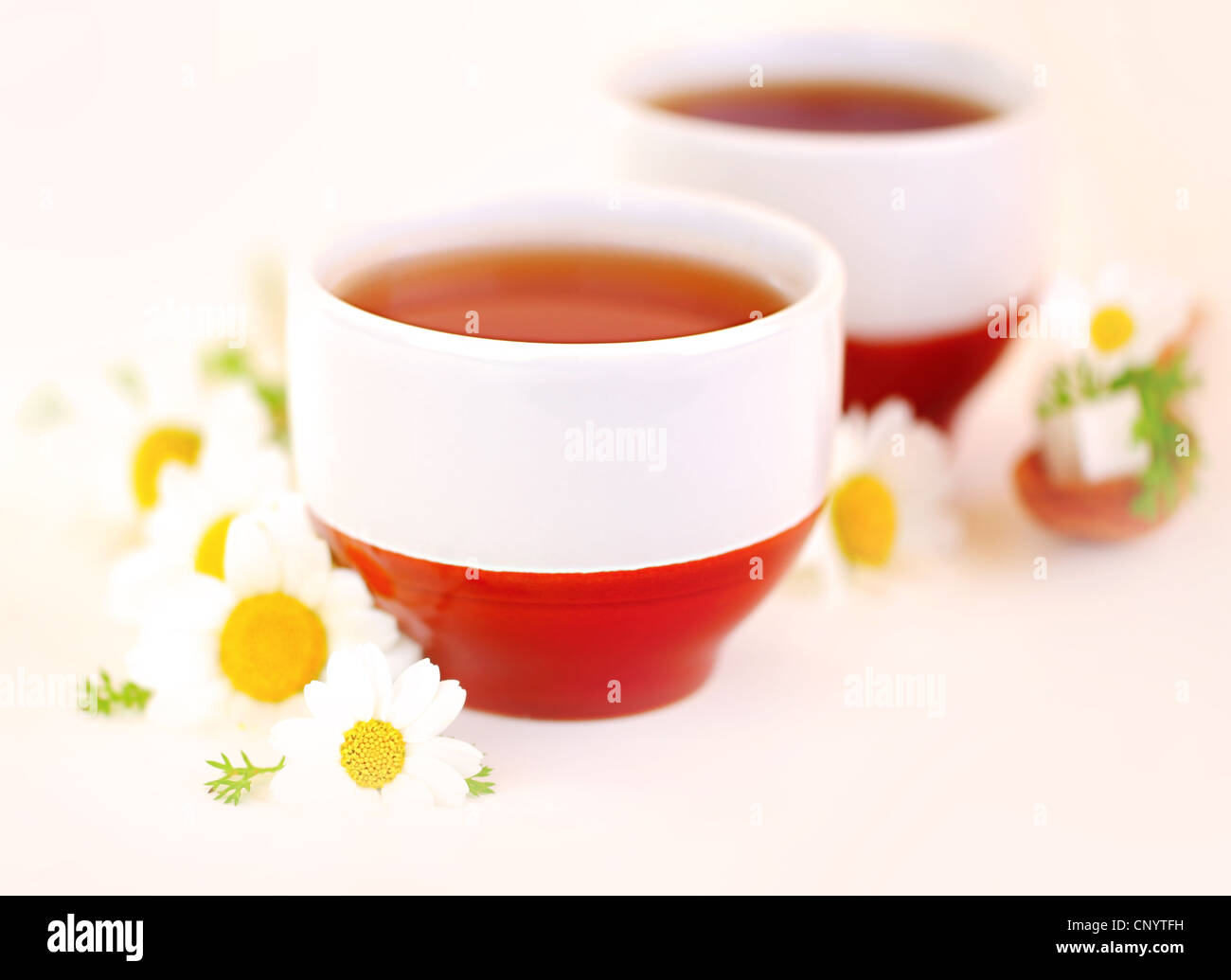 Herbal camomilla tazza di tè con fiori, il fuoco selettivo Foto Stock