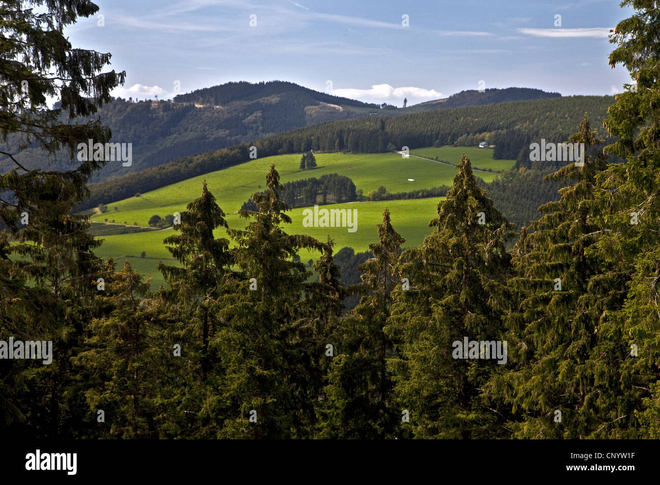 Vista di paesaggi collinari da Bruchhauser Steine, in Germania, in Renania settentrionale-Vestfalia, Olsberg Foto Stock