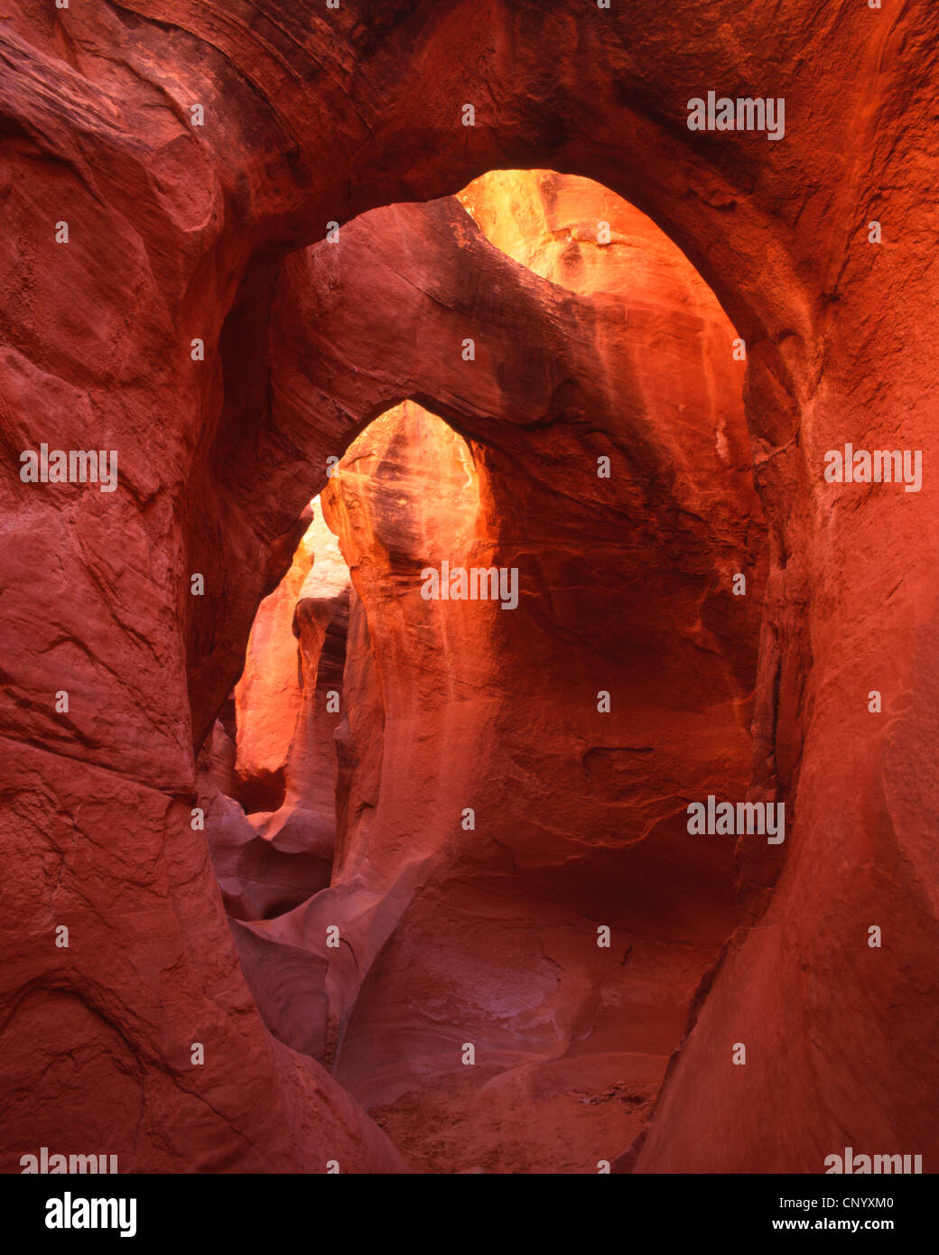 Peek-a-boo canyon slot, la grande scala Escalante National Monument, Utah Foto Stock