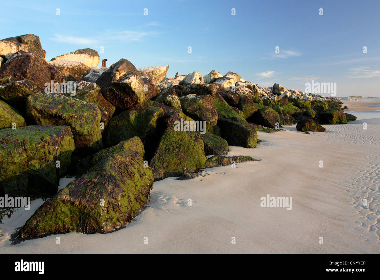 Wave-breaker sulle dune della spiaggia del nord, Germania, Helgoland Duene Foto Stock