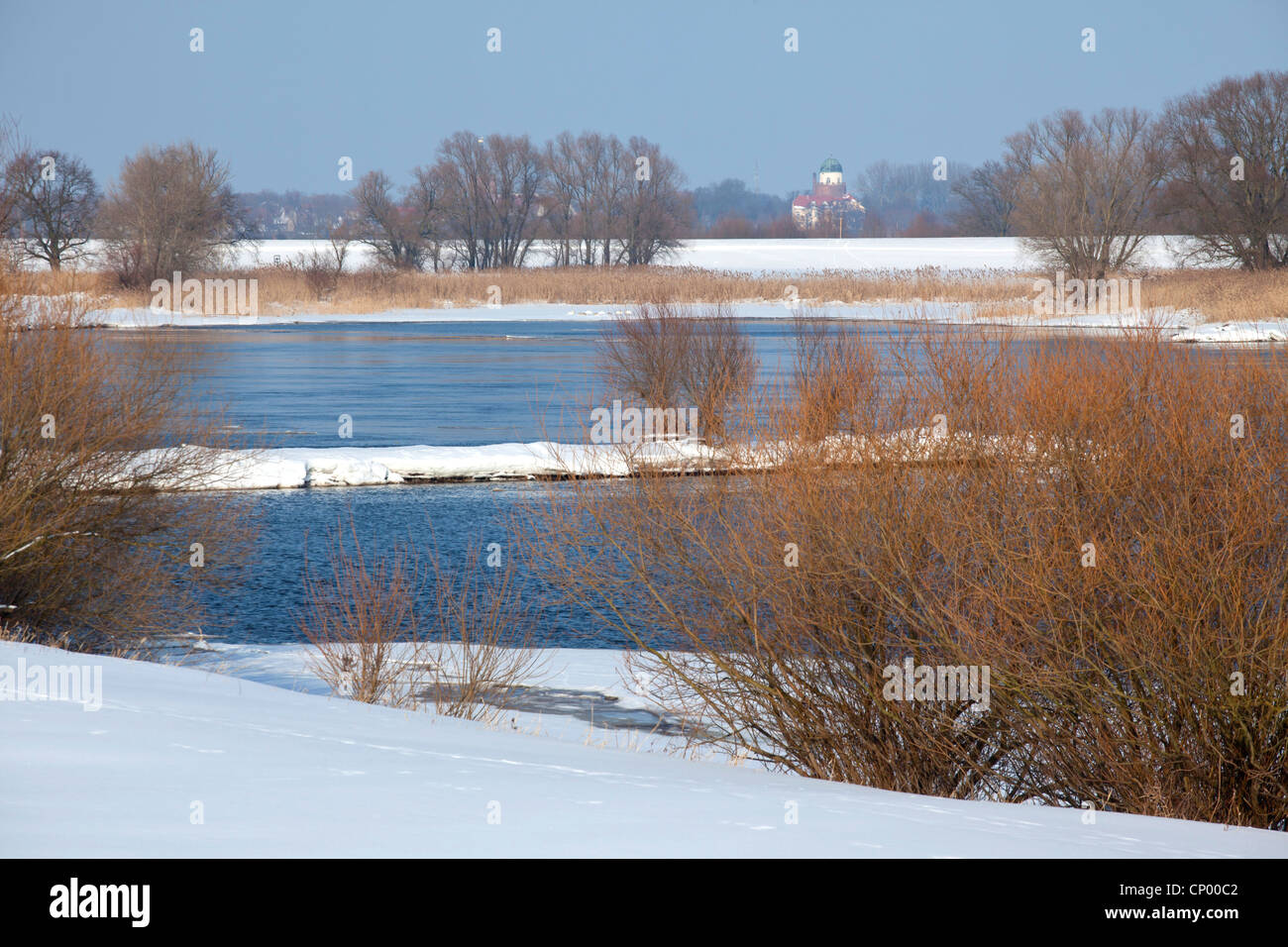 Vista sul Fiume Elba , Germania, Bassa Sassonia, Wendland ha, Pevestorf Foto Stock