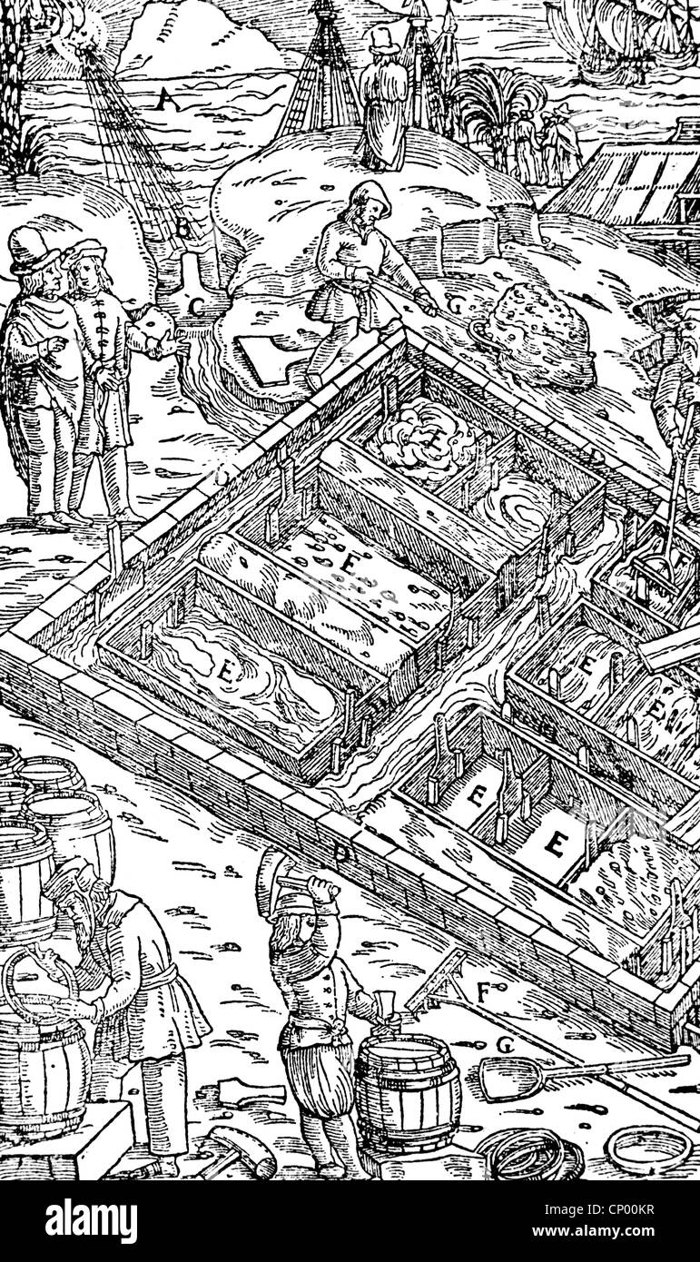 Industria, sale, giardino salino al mare, taglio del legno, 'de re metallica libri XII' di Georgius agricola, Basilea, 1556, diritti aggiuntivi-clearences-non disponibili Foto Stock