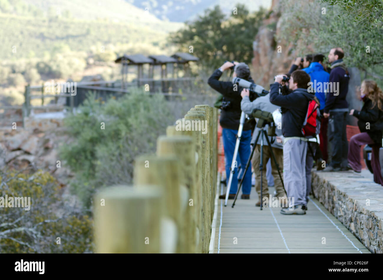 Un gruppo di persone facendo bird watching in Monfrague Parco Nazionale in Spagna Foto Stock
