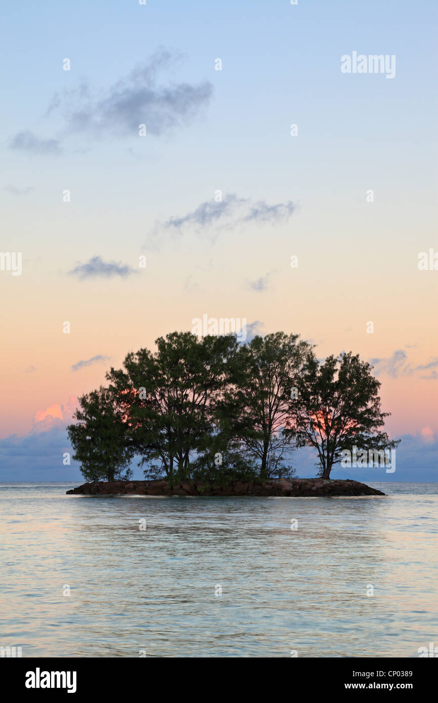 Una piccola isola di alberi al crepuscolo del mattino al largo della costa occidentale di La Digue alle Seychelles Foto Stock