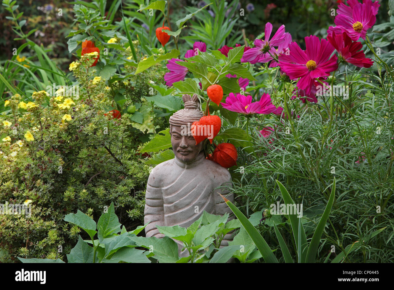 Giardino cosmo, messicano aster (Cosmos bipinnatus), Buddhistic scultura in un aiuola di fiori Foto Stock