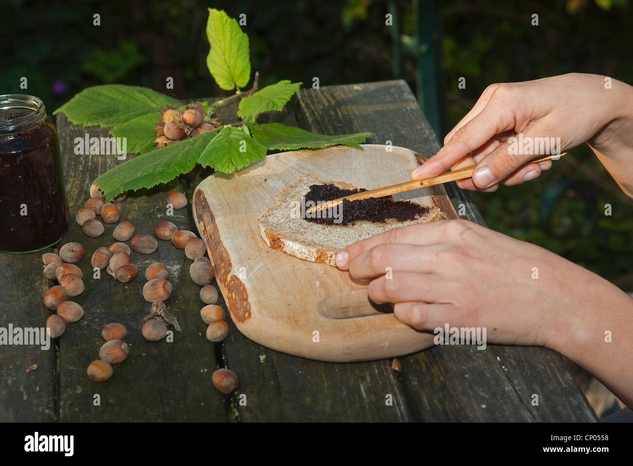 Comune di nocciolo (Corylus avellana), bambino seduto al tavolo da giardino mettendo cioccolata spalmabile che ha fatto di auto-raccolto di nocciole, il cacao in polvere, burro e zucchero su una fetta di pane, Germania Foto Stock