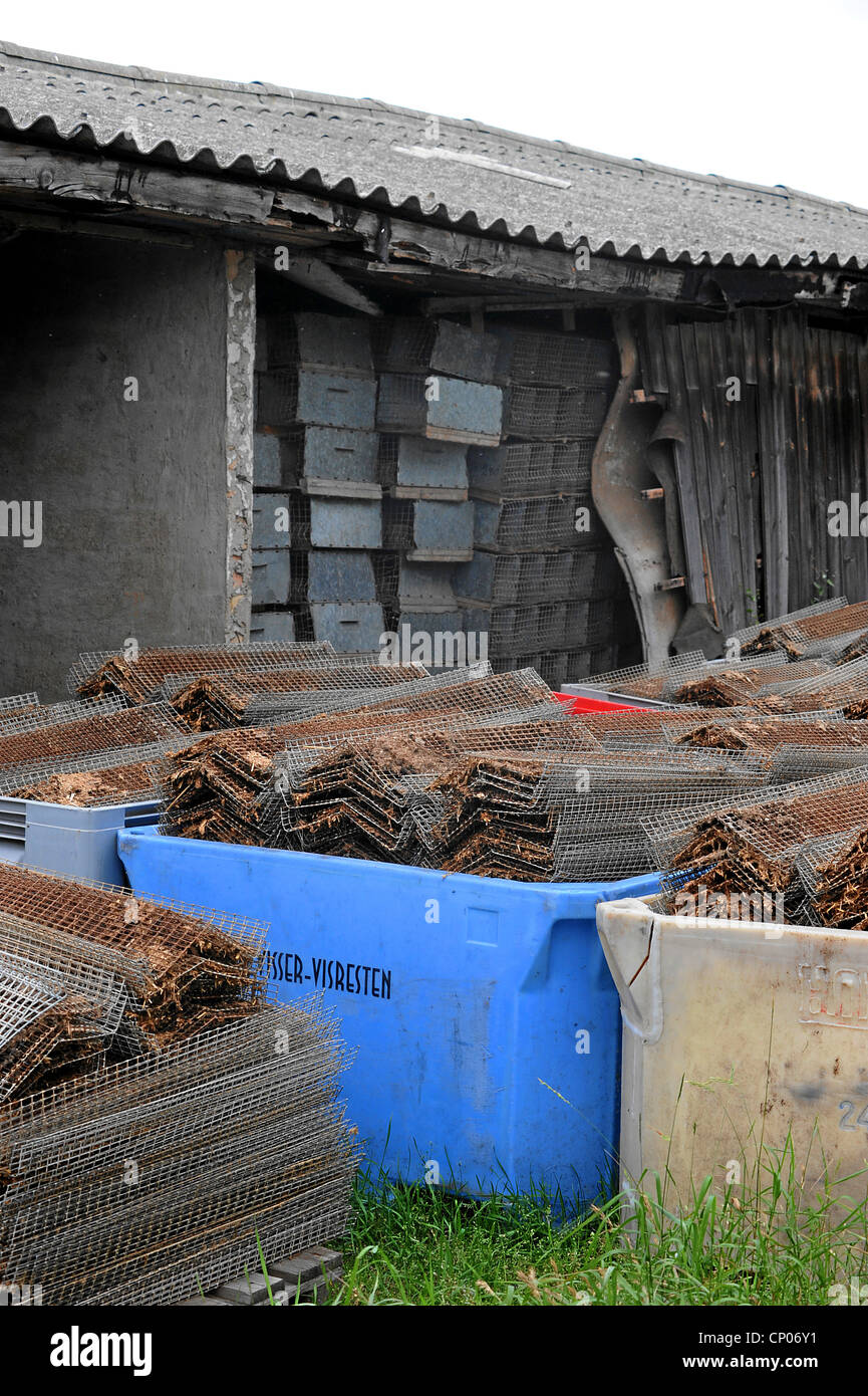 , Griglie per gabbie su una farm di visone, , Foto Stock