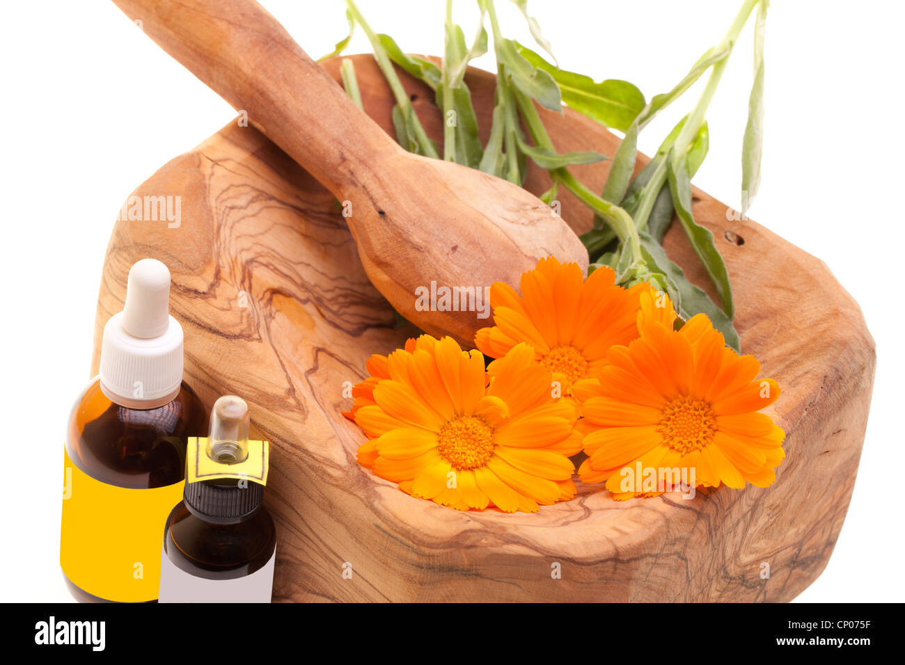 Medicina alternativa - Calendula officinalis Foto Stock