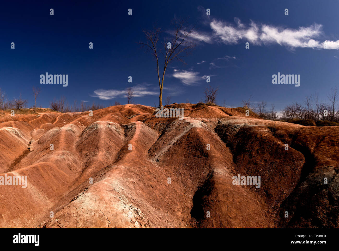 The Cheltenham Badlands in Ontario, Canada Foto Stock