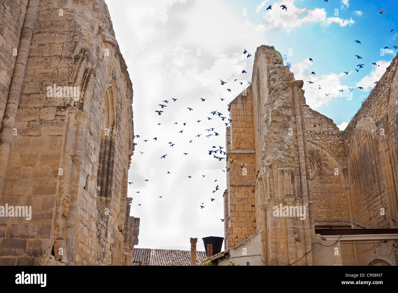 Piccioni battenti ver la rovina di Antonius chiesa, Spagna, Kastilien und Len, Burgos, San Anton Foto Stock