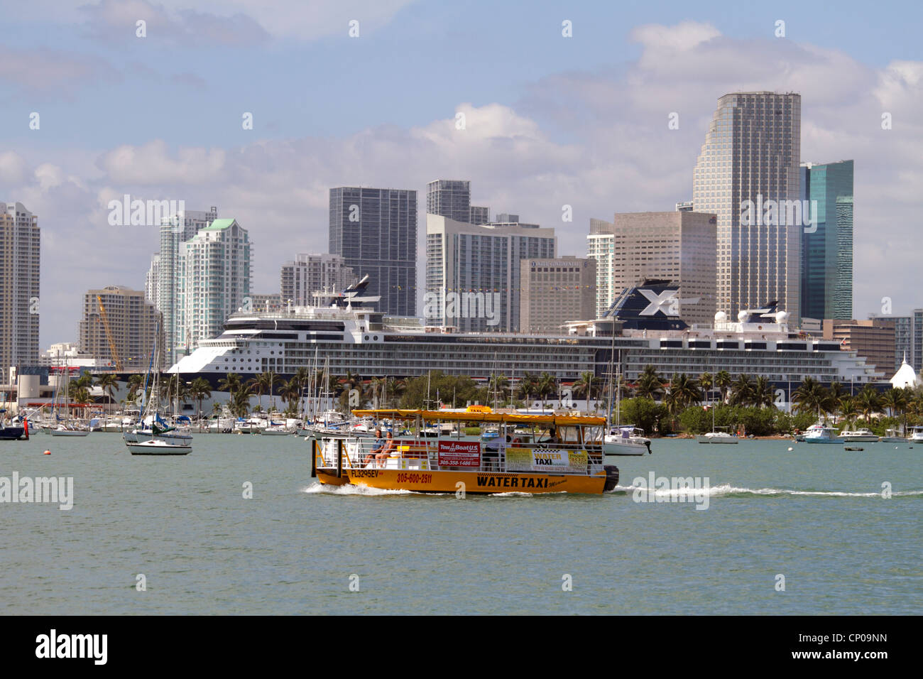 Miami Florida, Biscayne Bay, Celebrity Millennium. Nave da crociera, Celebrity Cruises, Porto di Miami, skyline della città, edifici per uffici, skyline della città, hotel Foto Stock