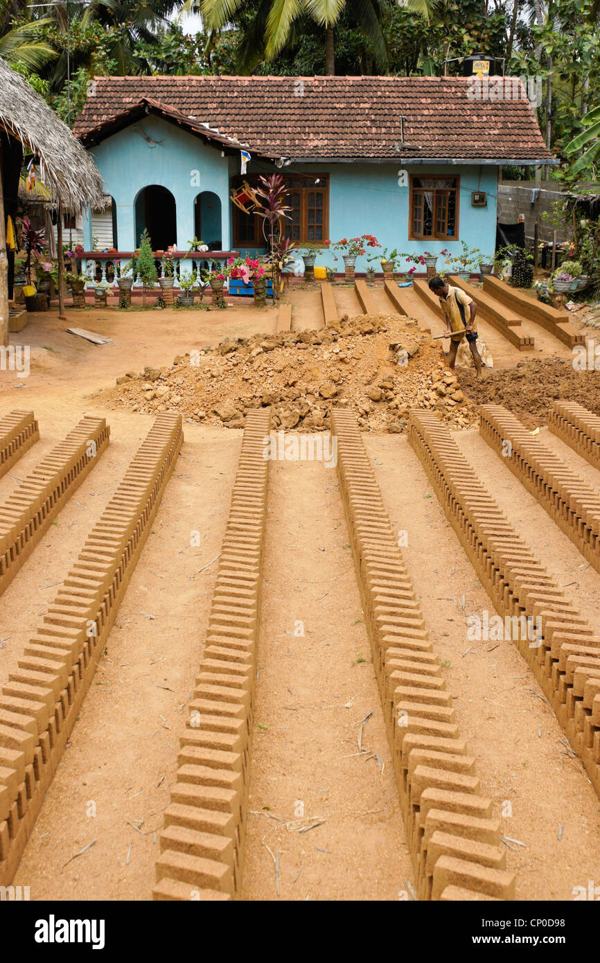 L'uomo facendo mattoni di fango, Sri Lanka Foto Stock