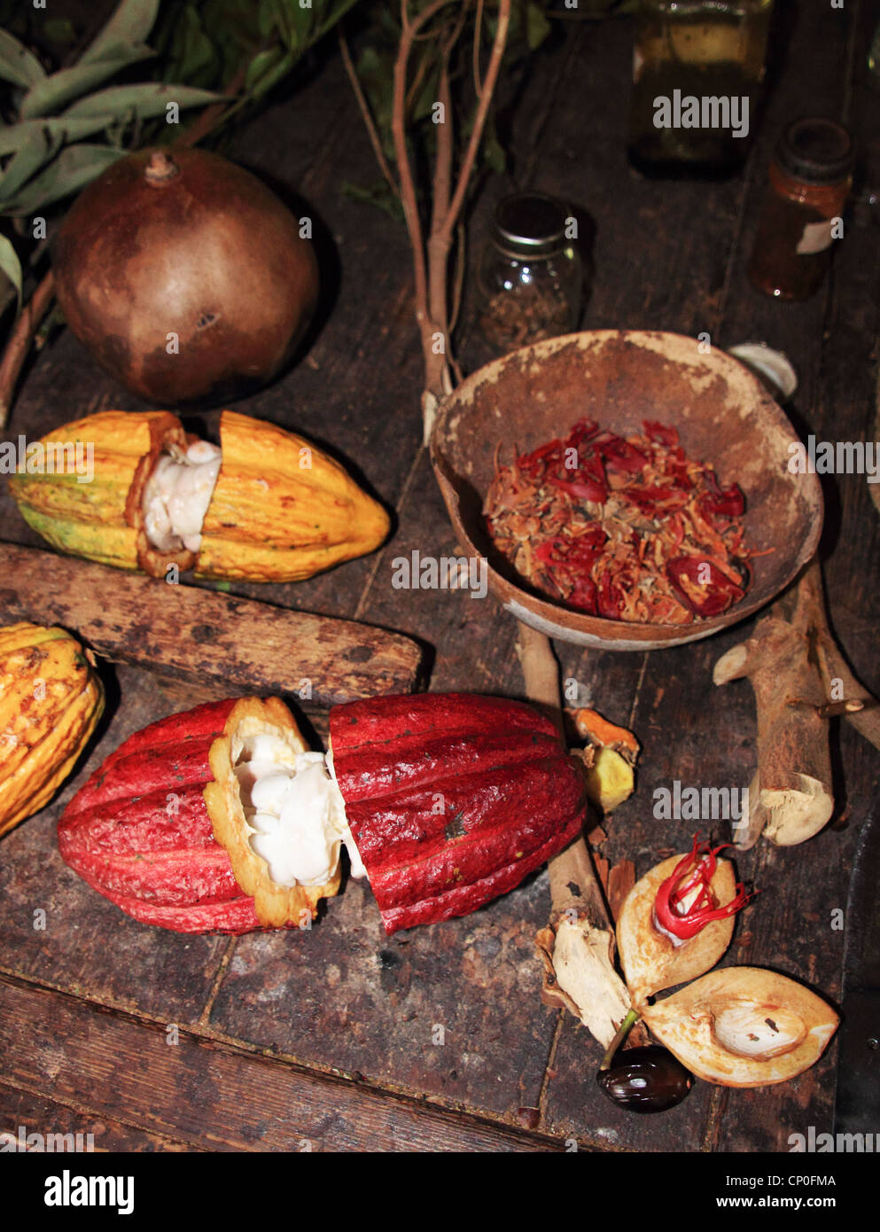 Le fave di cacao e noce moscata in Grenada Foto Stock