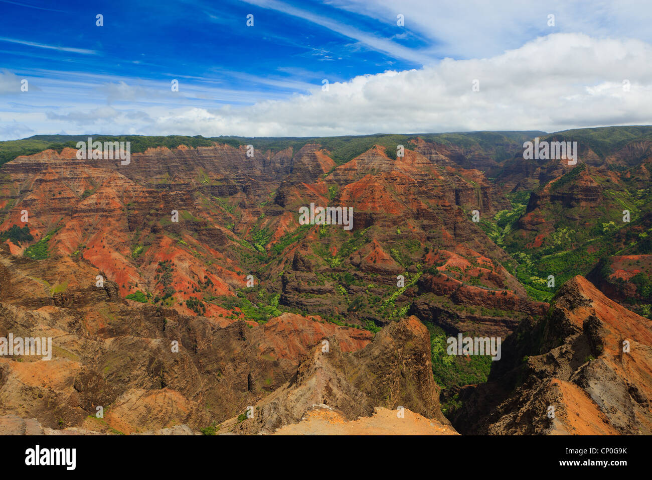 Vista sopra il Canyon di Waimea. Kauai, Hawaii Foto Stock
