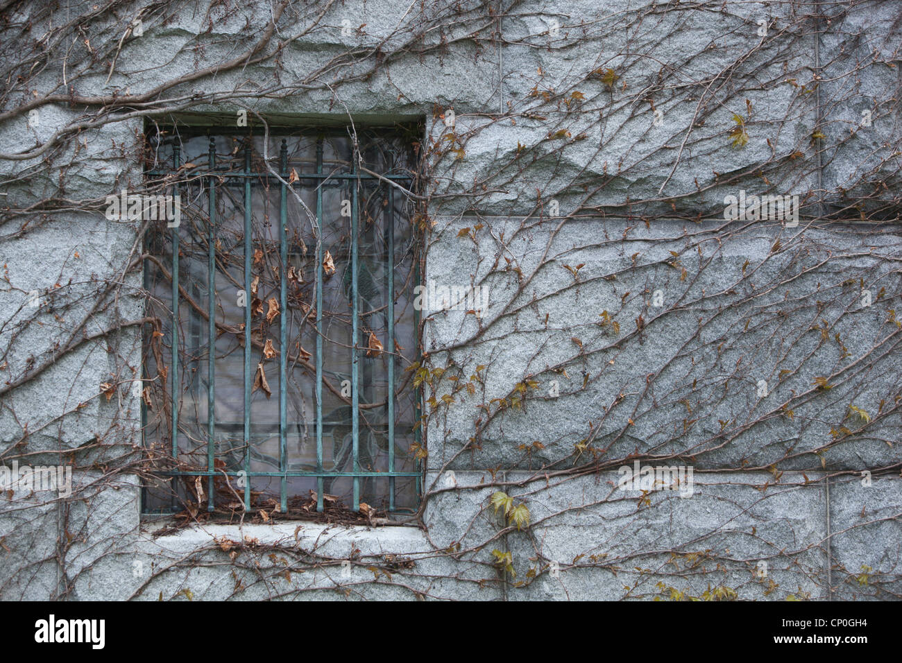 Cripta dettagli dalla prima storica Chiesa congregazionale cimitero in Bennington, Vermont, USA Foto Stock