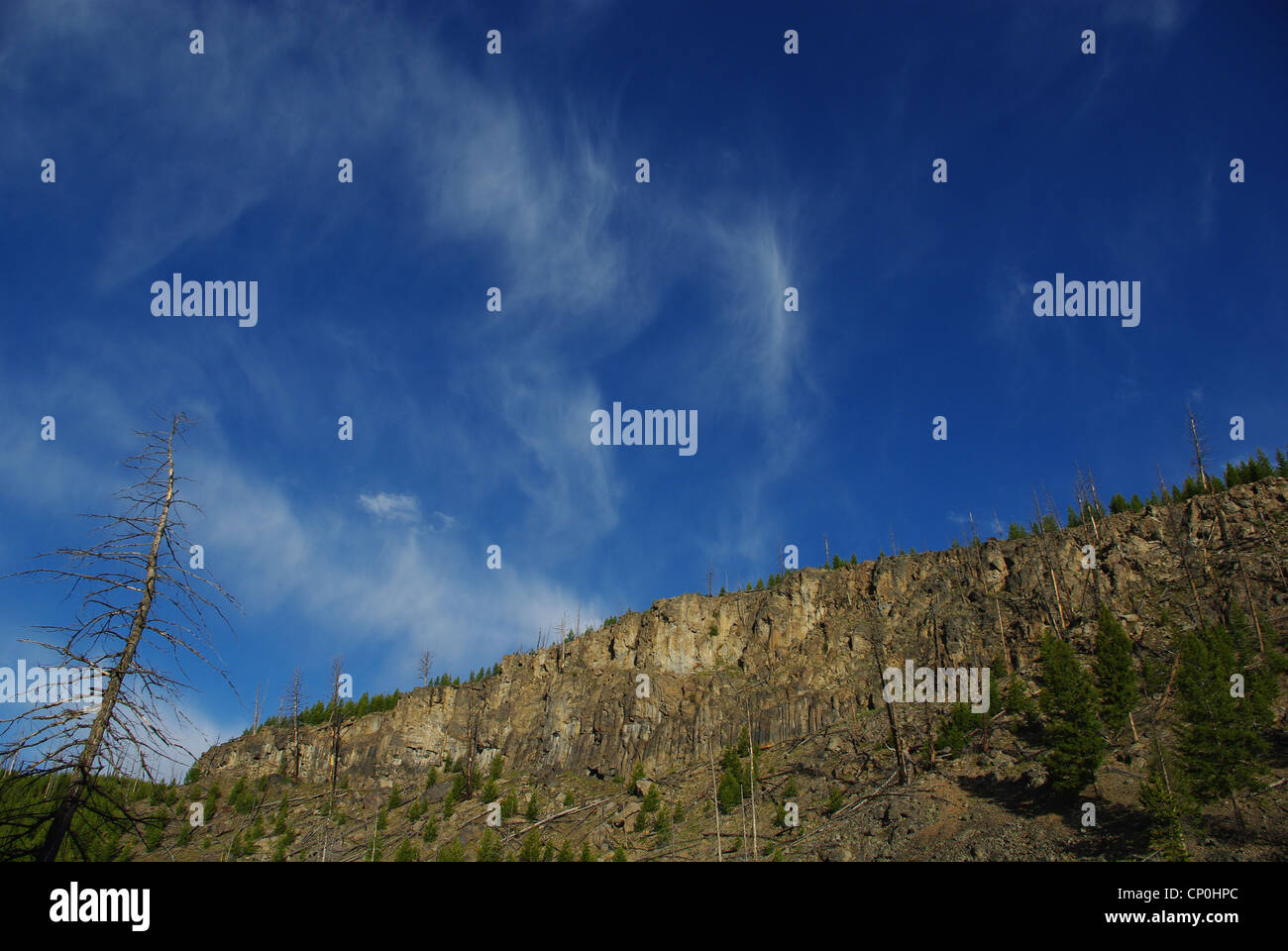 Asciugare gli alberi, rocce e nuvole sopra il fiume Madison, Yellowstone Nationalpark, Wyoming Foto Stock