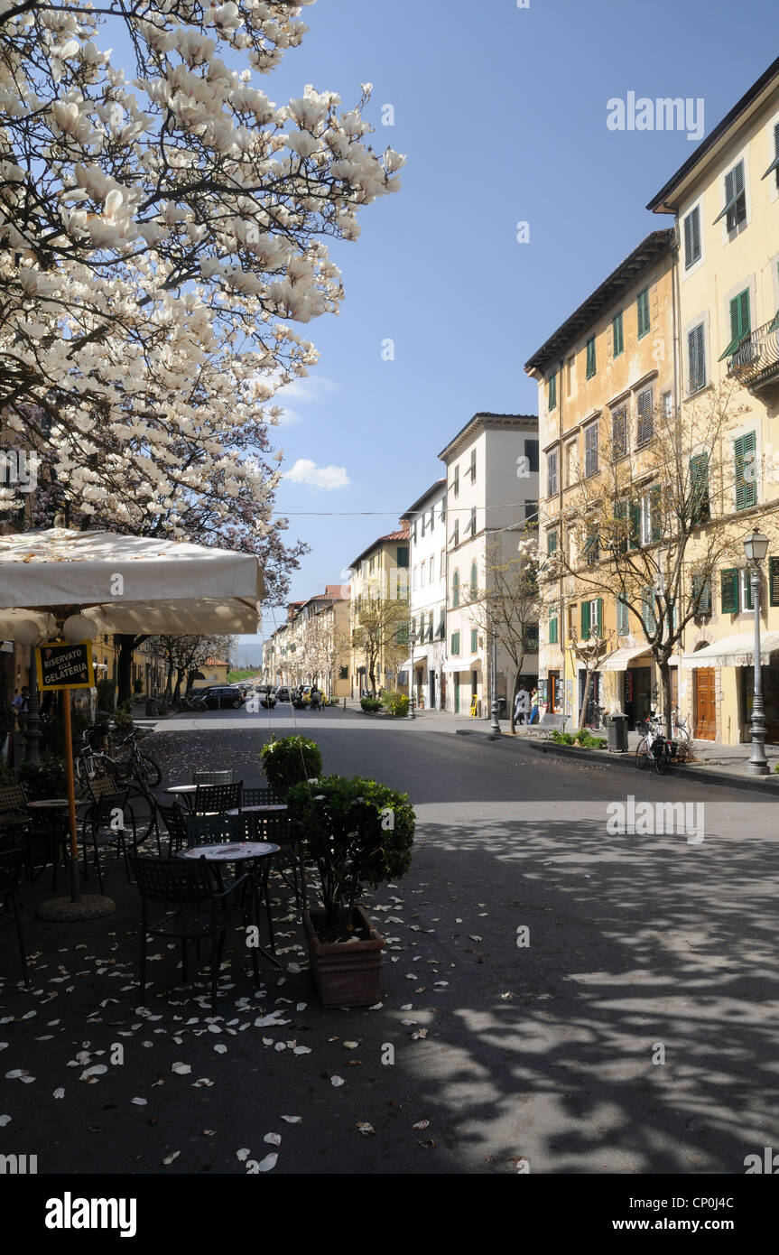 Primavera sbocciano i fiori sul corso Garibaldi, a Lucca, Toscana, Italia Foto Stock