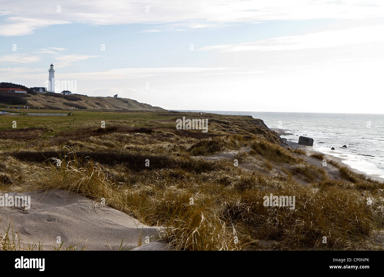 Scena costiere con erba e sabbia a nord la Danimarca con il faro Foto Stock