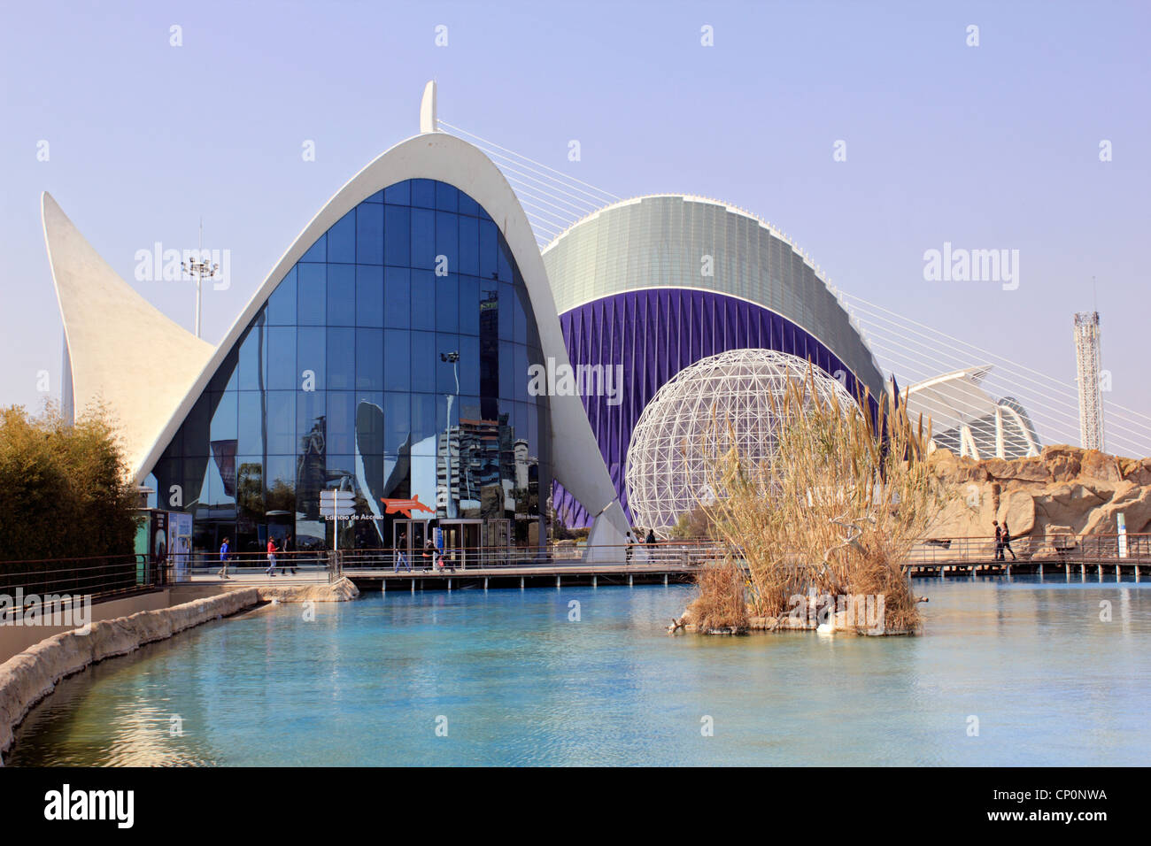 Acquario oceanografico Valencia Spagna Foto Stock