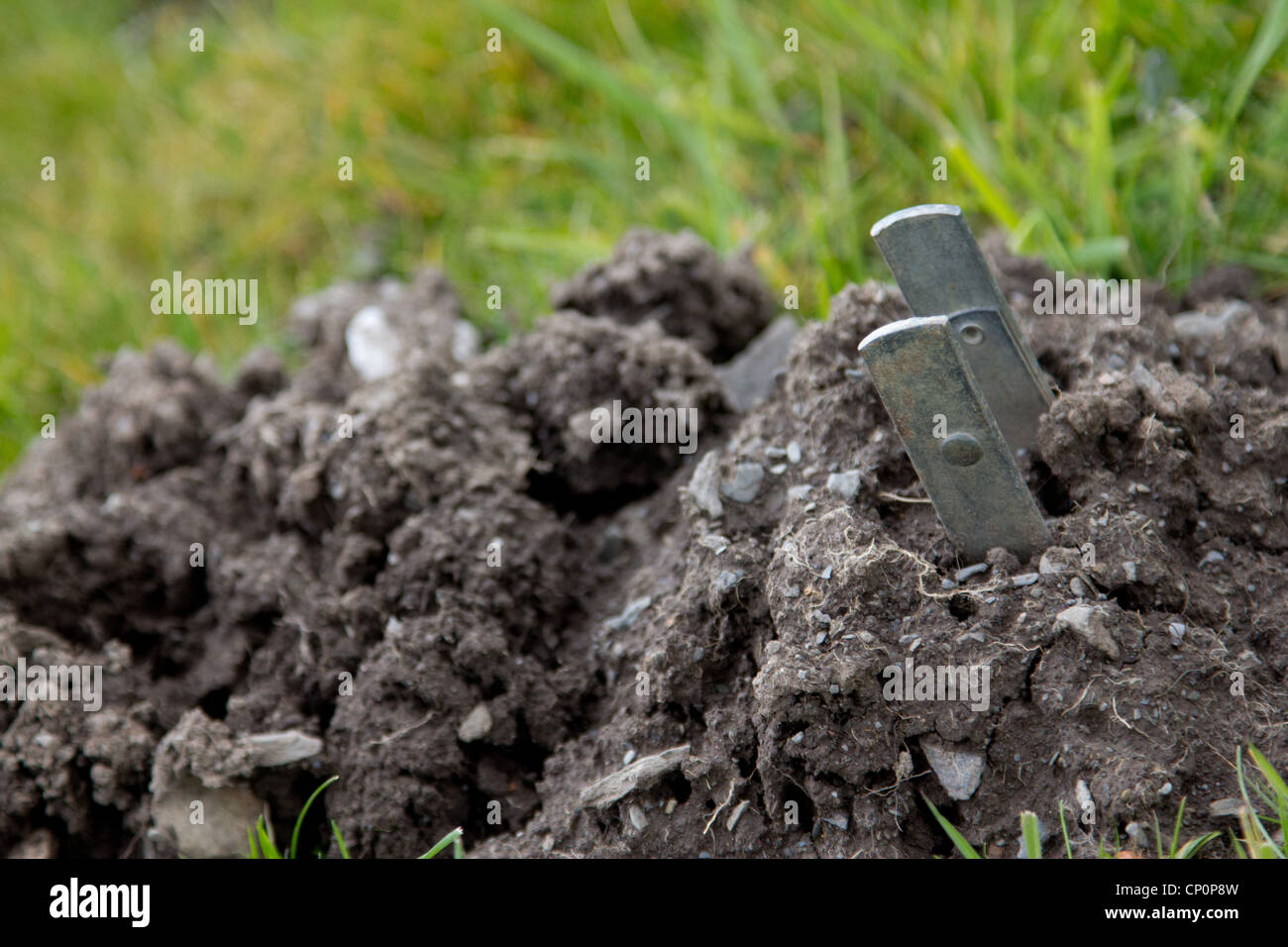 Trappola per talpa Foto Stock