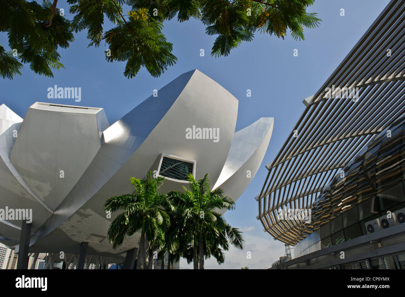 Artscience Museum, Marina Bay Sands, Singapore. Foto Stock