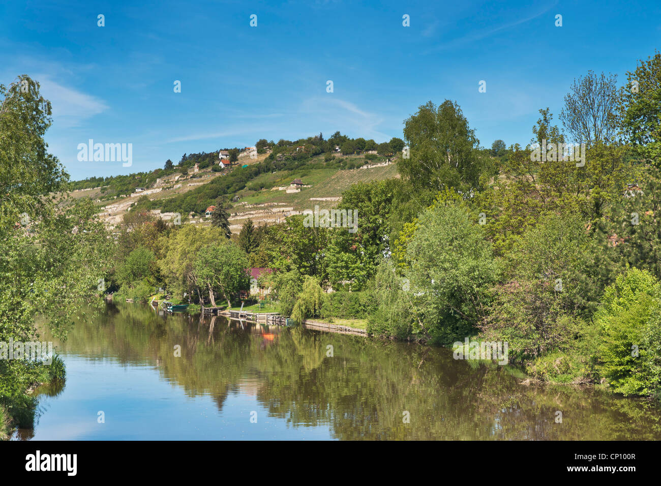 Il fiume Unstrut è un 192 km lungo affluente della Saale. Freyburg (Unstrut), Sassonia Anhalt, Germania, Europa Foto Stock