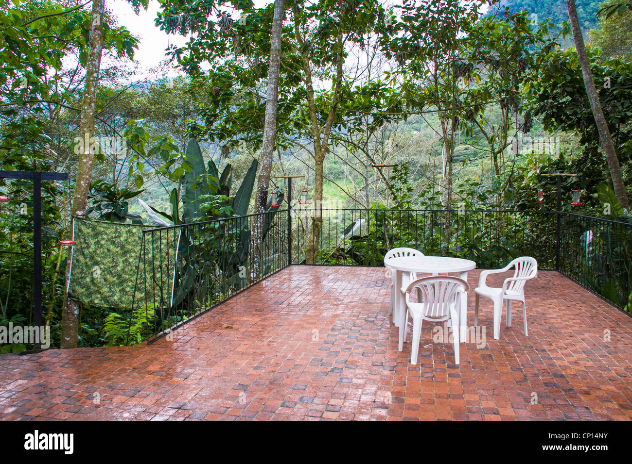 Tandayapa Lodge, un lodge ecologico famosa per uccelli e colibrì, in Ecuador. Foto Stock