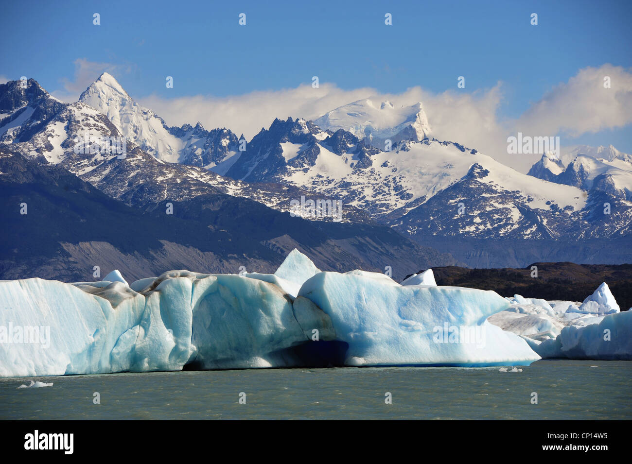 Un'immagine dal Parco Nazionale di Torres del Paine Cile. Foto Stock