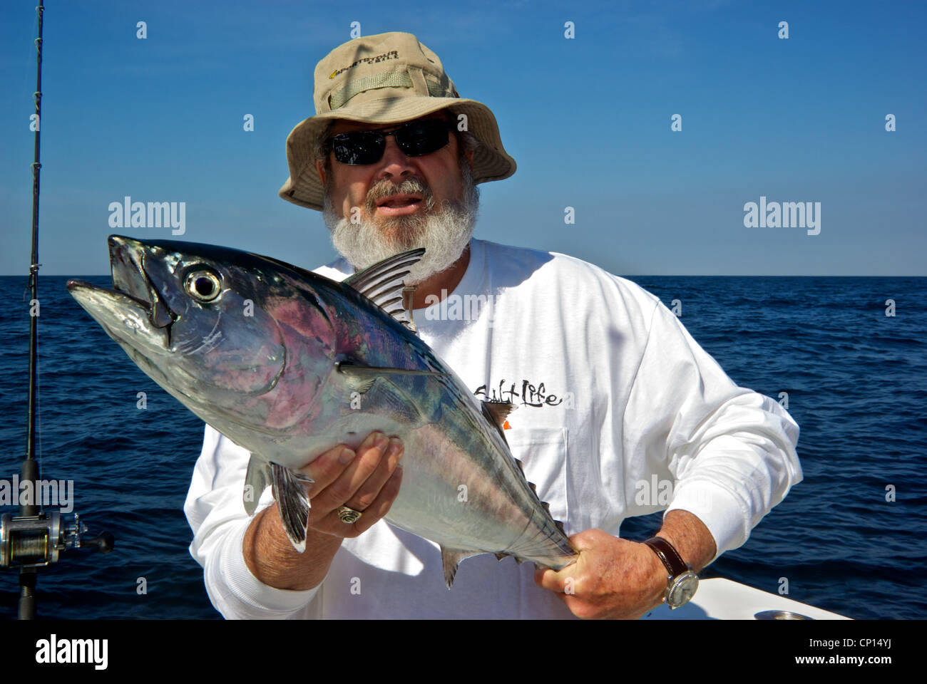 Vecchio Pescatore barbuto azienda big eyed bonito deepsea gamefish irridescent rosa blu colori argento Golfo del Messico Foto Stock