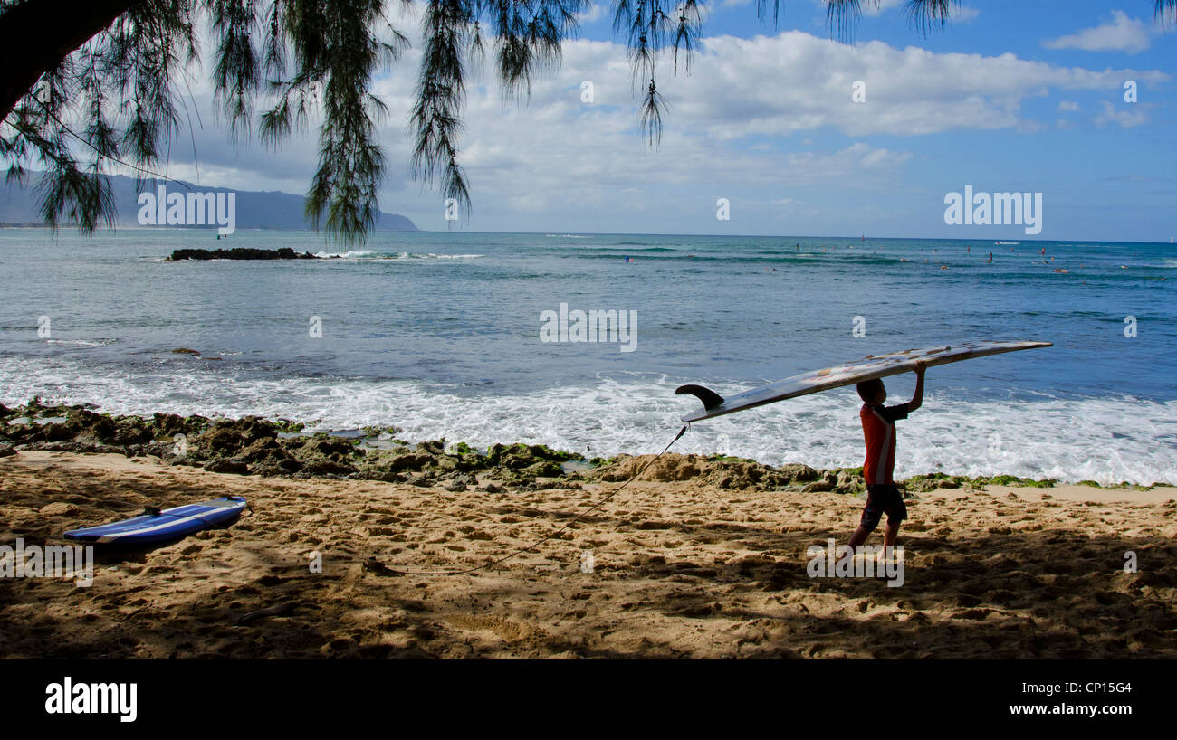 Surfisti a Haleiwa Beach Park su Oahu Hawaii Foto Stock