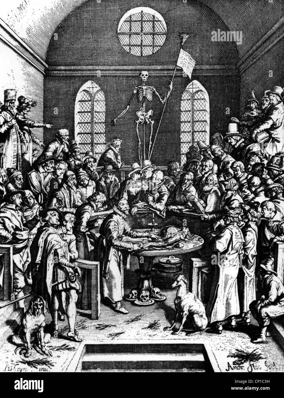 Medicina, anatomia, lezione anatomica di Pieter Paaw, incisione in rame di Andreas Stock dopo Jacob de Gheyn a 'Succenturiatus Anatomicus', Leyden, 1616, Additional-Rights-Clearences-Not Available Foto Stock