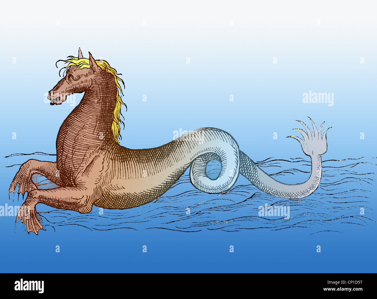 Superstizione, creature mitiche, 'cavallo di mare' ('Ippocampo'), taglio di legno, 'de aquatilibus' di Petri Belloni, Parigi 1580, successivamente colorato, , diritti aggiuntivi-clearences-non disponibile Foto Stock