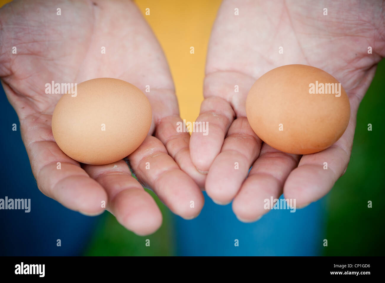 Mani azienda agricola marrone uova fresche Foto Stock