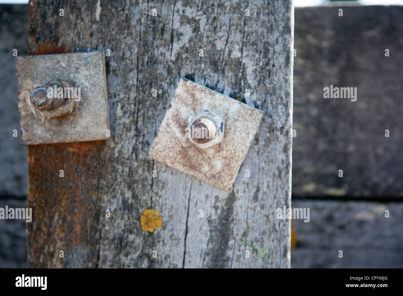 Whitstable beach, pennelli, Kent, England, Regno Unito Foto Stock