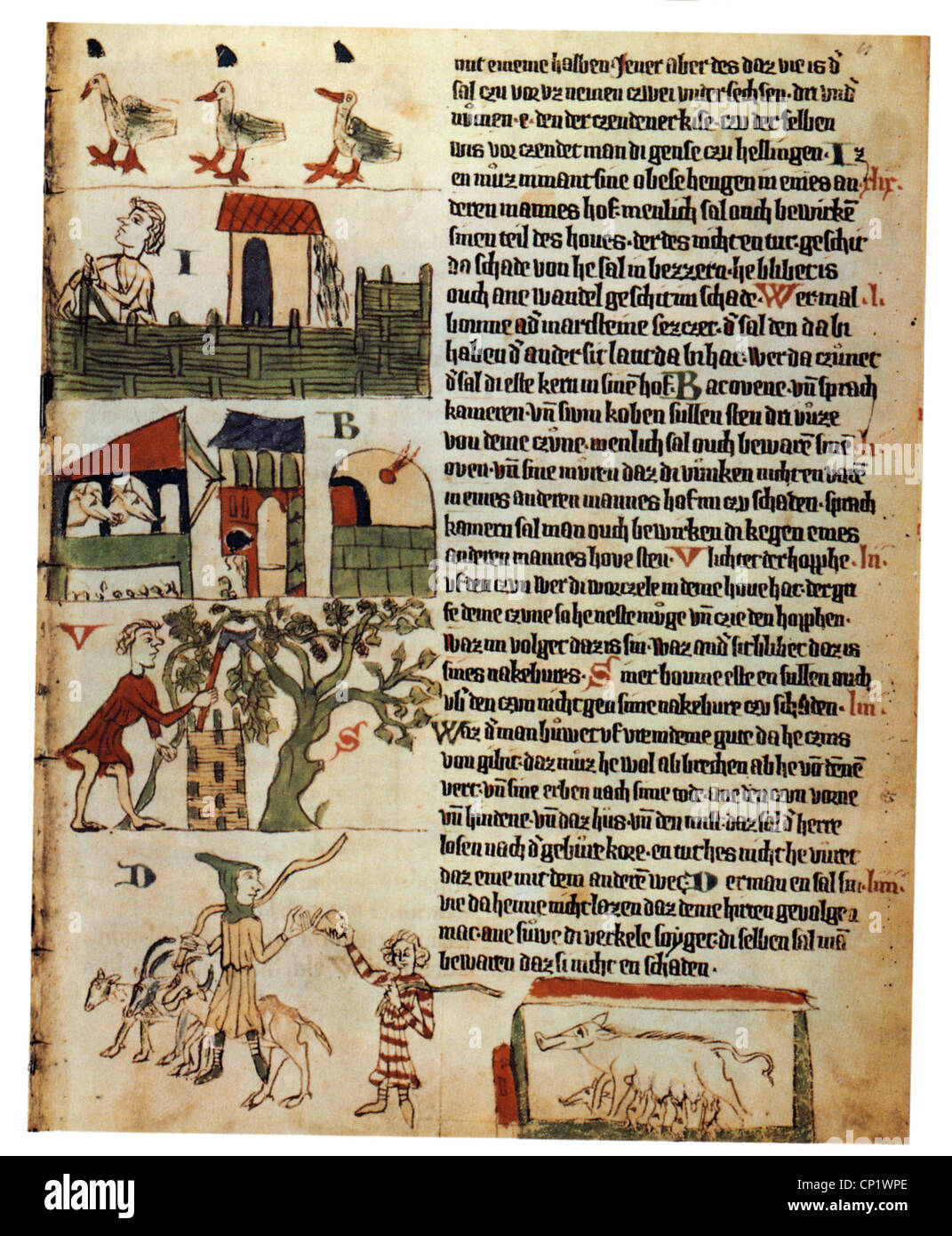 giustizia, leggi, Sachsenspiegel ('specchio di Saxon'), 1220-1232, di Eike von Repgow (circa 1180-1235), manoscritto illuminato, copia di Heidelberg, circa 1300, illuminazione: Relazioni legali in un villaggio medievale, diritti aggiuntivi-clearences-non disponibile Foto Stock