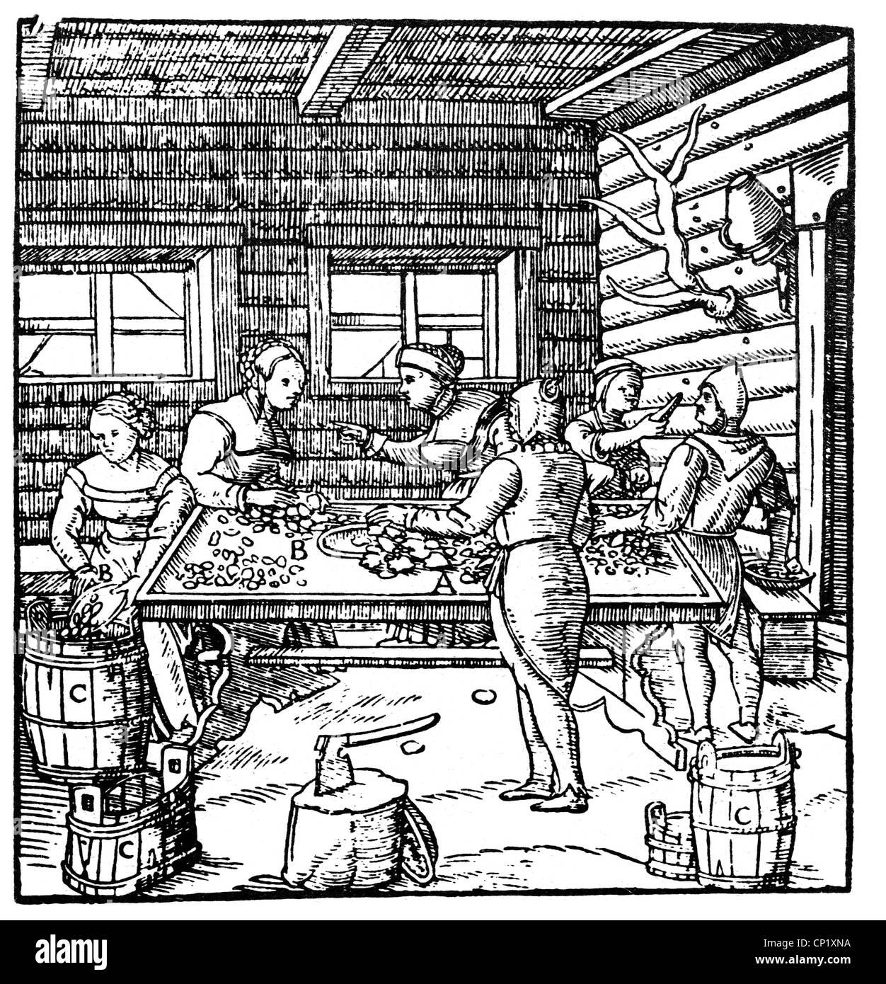 Estrazione mineraria, miniera, smistamento del minerale, taglio di legno, 'de re metallica libri XII' di Georgius agricola, Basilea, 1556, diritti aggiuntivi-clearences-non disponibili Foto Stock