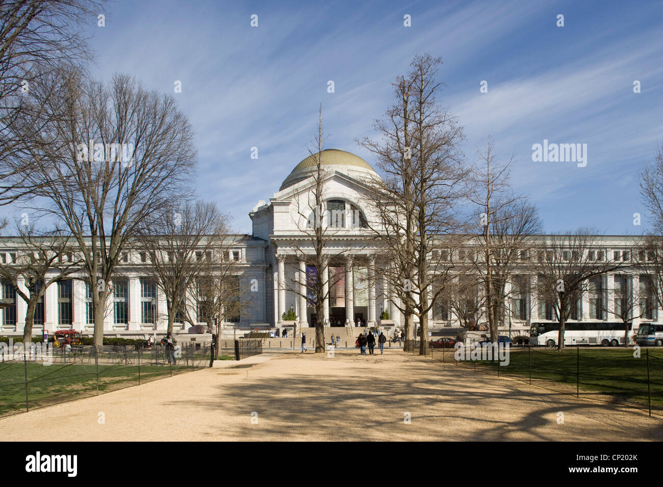 Il Museo Nazionale di Storia Naturale Smithsonian Institution, Washington D.C Foto Stock