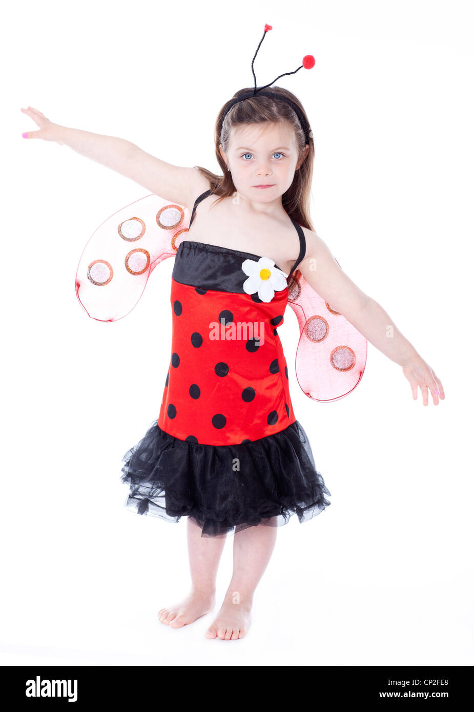 Adorabile bambina in costume coccinella Foto Stock