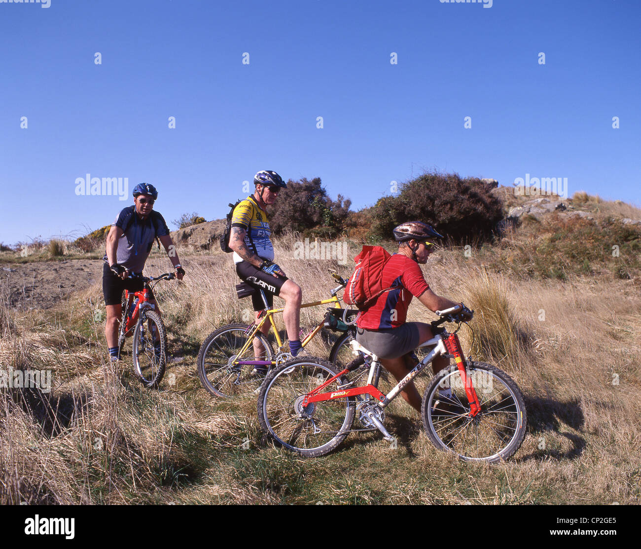 Gruppo in mountain bike sulle colline di porta, Christchurch, regione di Canterbury, Nuova Zelanda Foto Stock