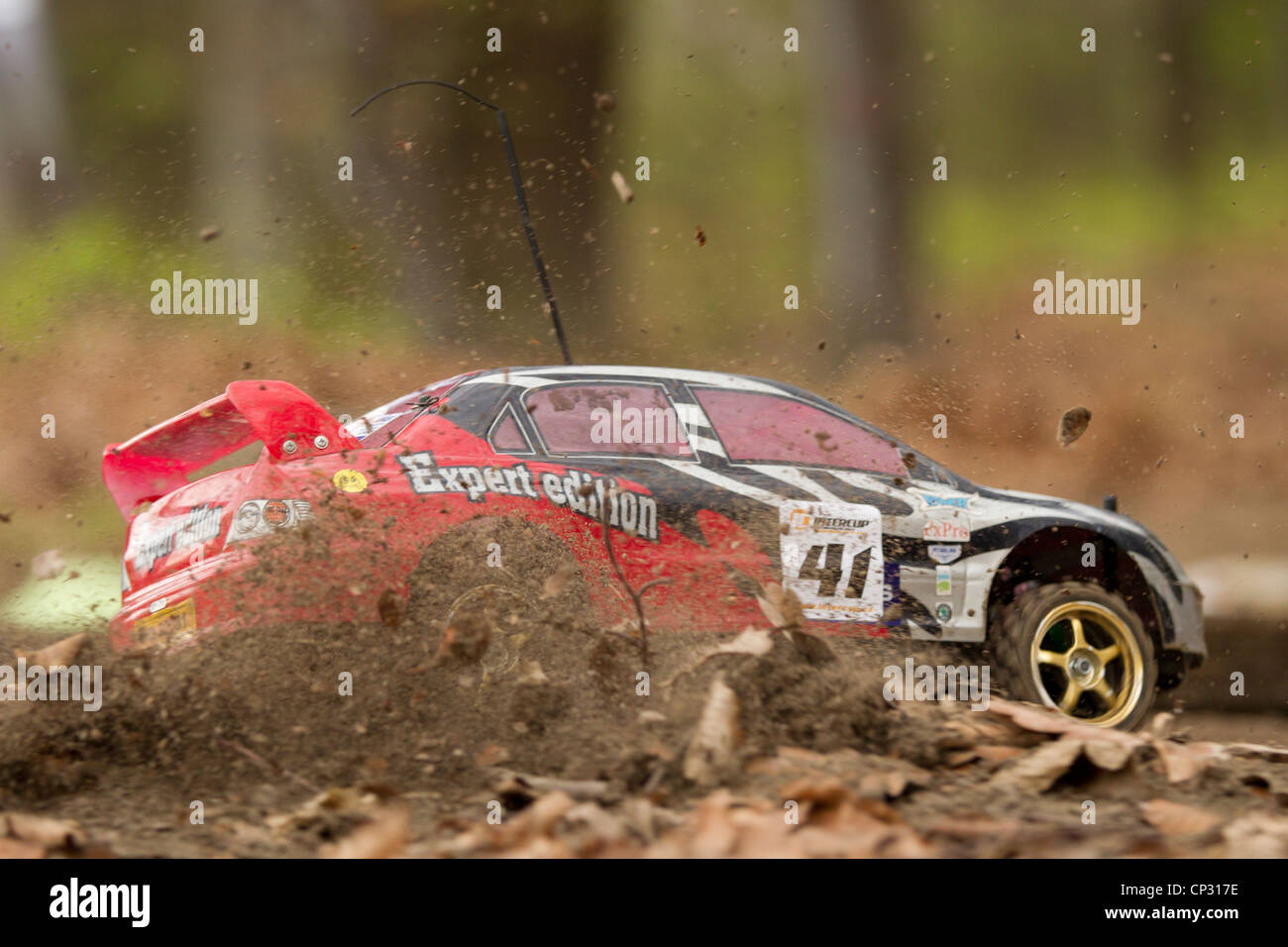 Gara, gare, auto RC, modello giocattolo, rallye, telecomando, controllato Foto Stock