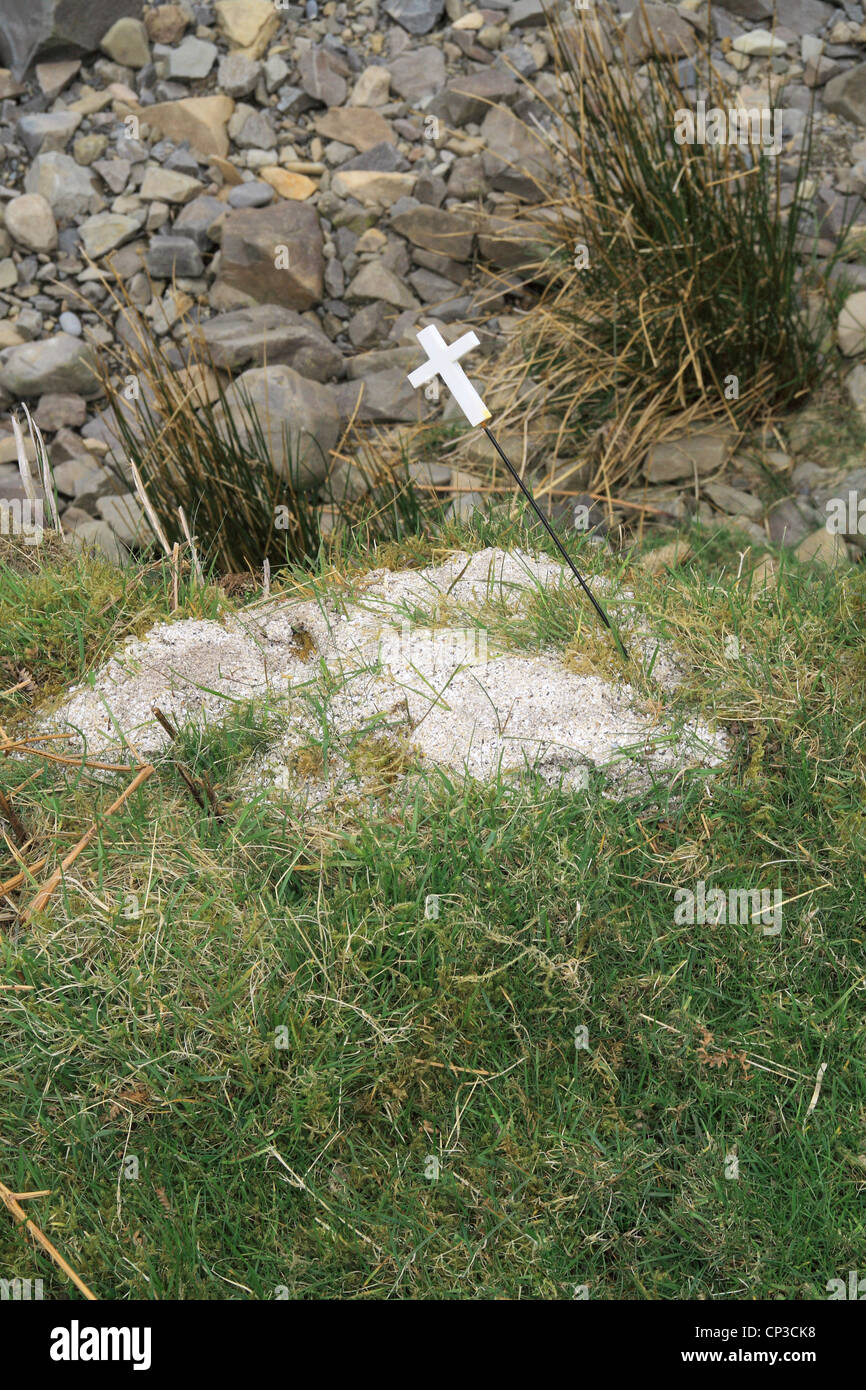 Cremato cristiana ceneri umane sparse in un luogo di bellezza Foto Stock