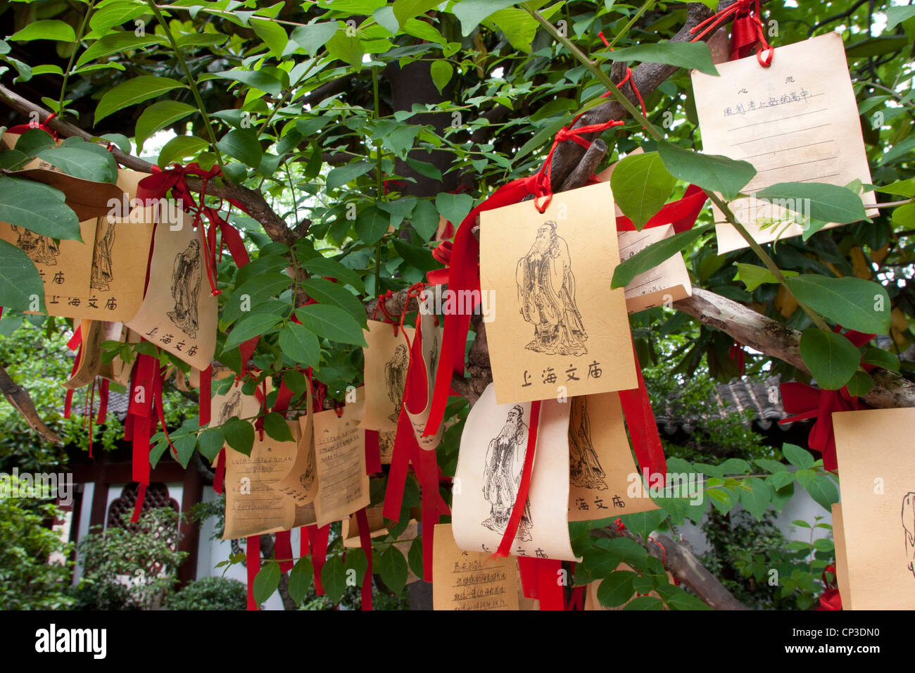 I messaggi degli studenti legata alla canfora albero a Tempio di Confucio, Wenmiao Lu, città vecchia, Shanghai, Cina. Per fortuna negli esami. Foto Stock