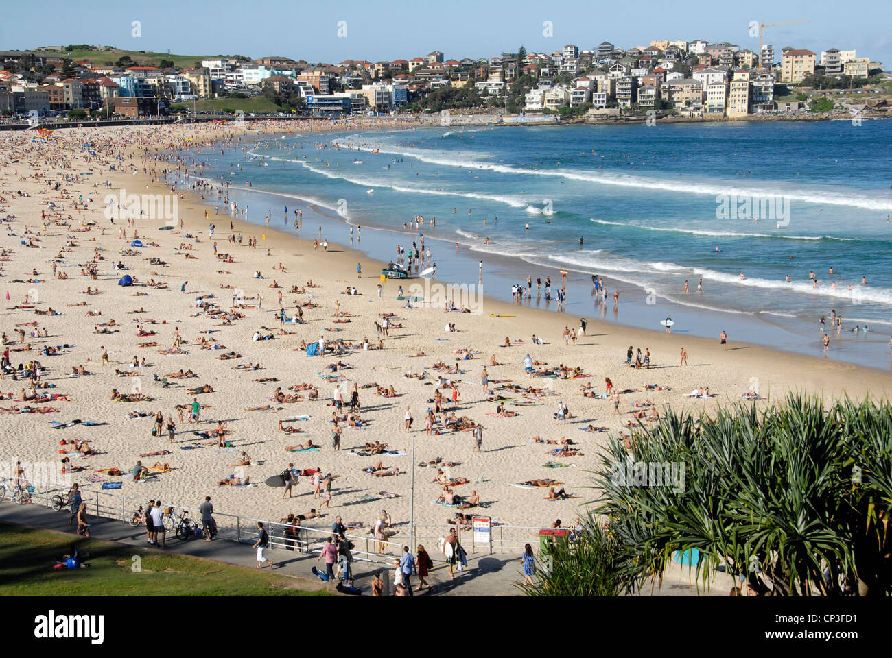 Vista di Bondi Beach Sydney's premier surf e tempo libero sulla spiaggia di una intensa giornata d'estate. Sydney, Australia Foto Stock